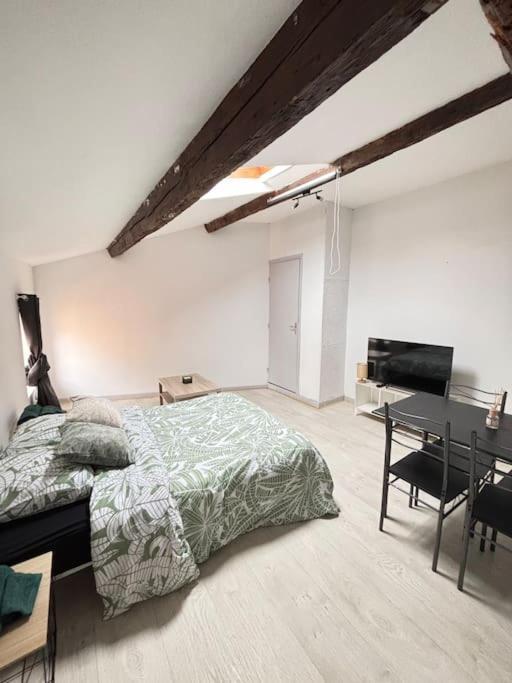 Studio Confortable Annonay Exterior foto